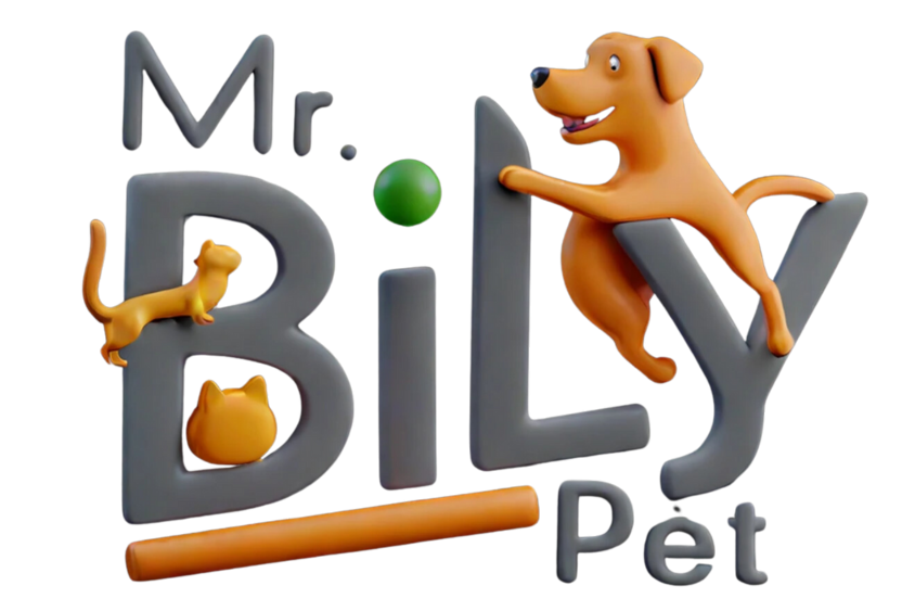 Mr Bily Pet